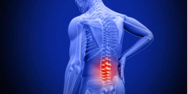 Blocking Pain at the Source: Hormone Therapy Rewires Nerve Signals in Aging Spines