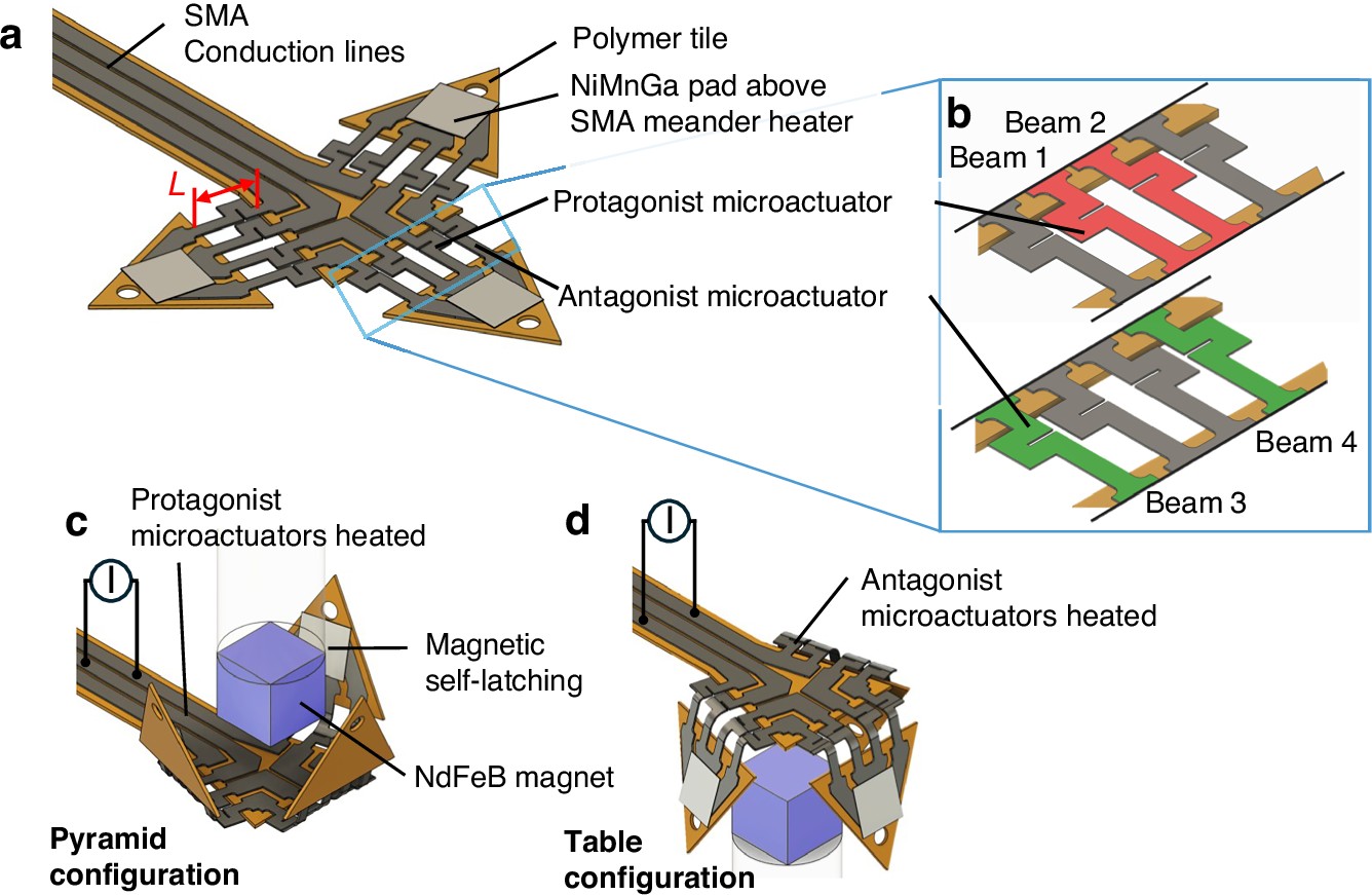 Tiny machines that rebuild themselves on demand